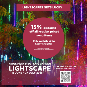 Lightscape partners offers promo at Lucky Shag Bar